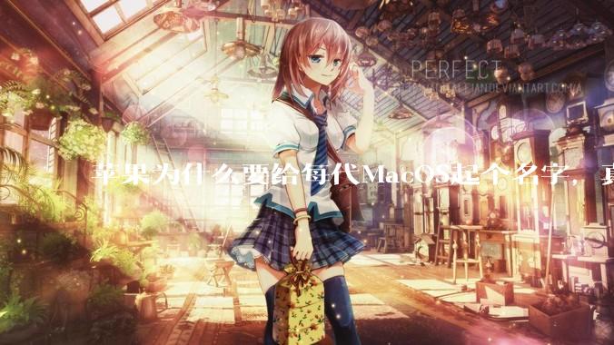 苹果为什么要给每代MacOS起个名字，真以为人们记得住分得清吗？