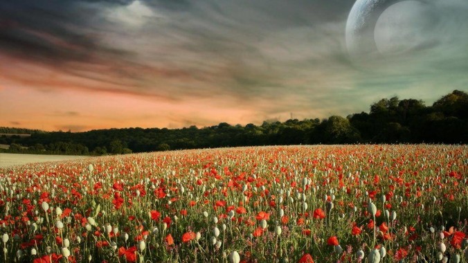 为什么师父不愿把真本事传给弟子?